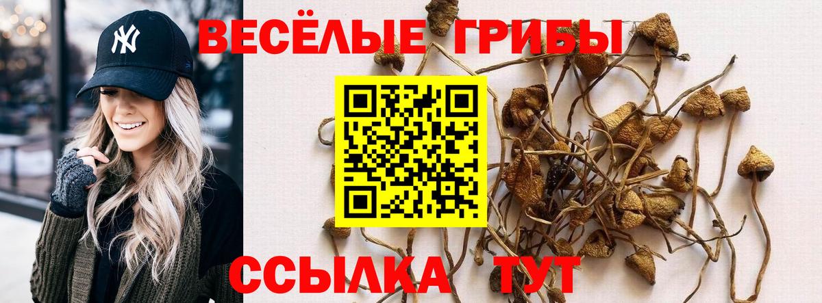 Галлюциногенные грибы мухоморы Мурманск