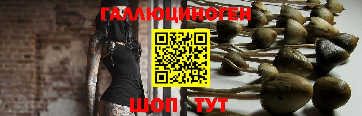 Мурманск  Галлюциногенные грибы мицелий  Вход с VPN 