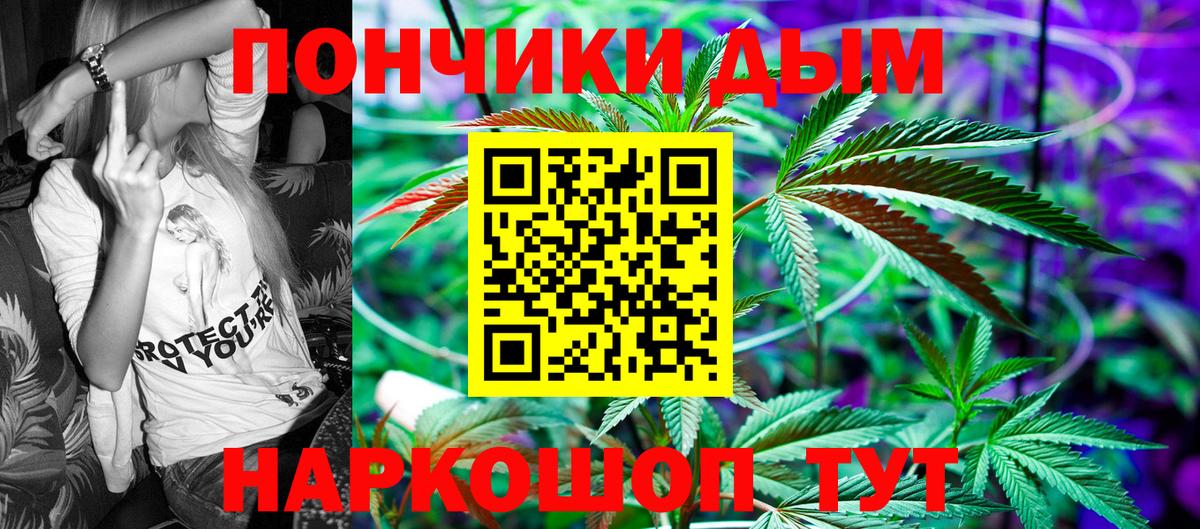 Каннабис сатива Мурманск